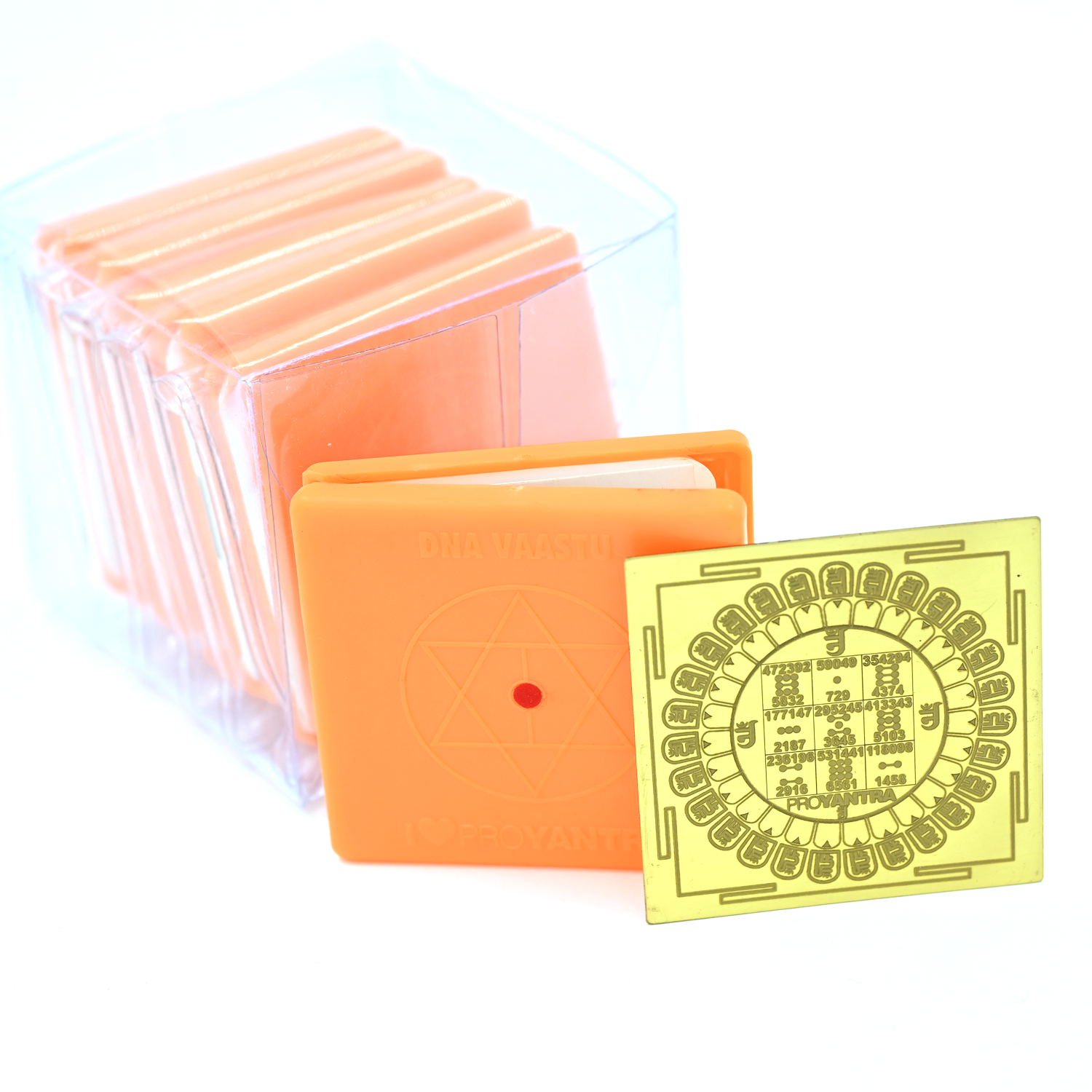 FaMa Passport Basic Plastic (Pack of 6)