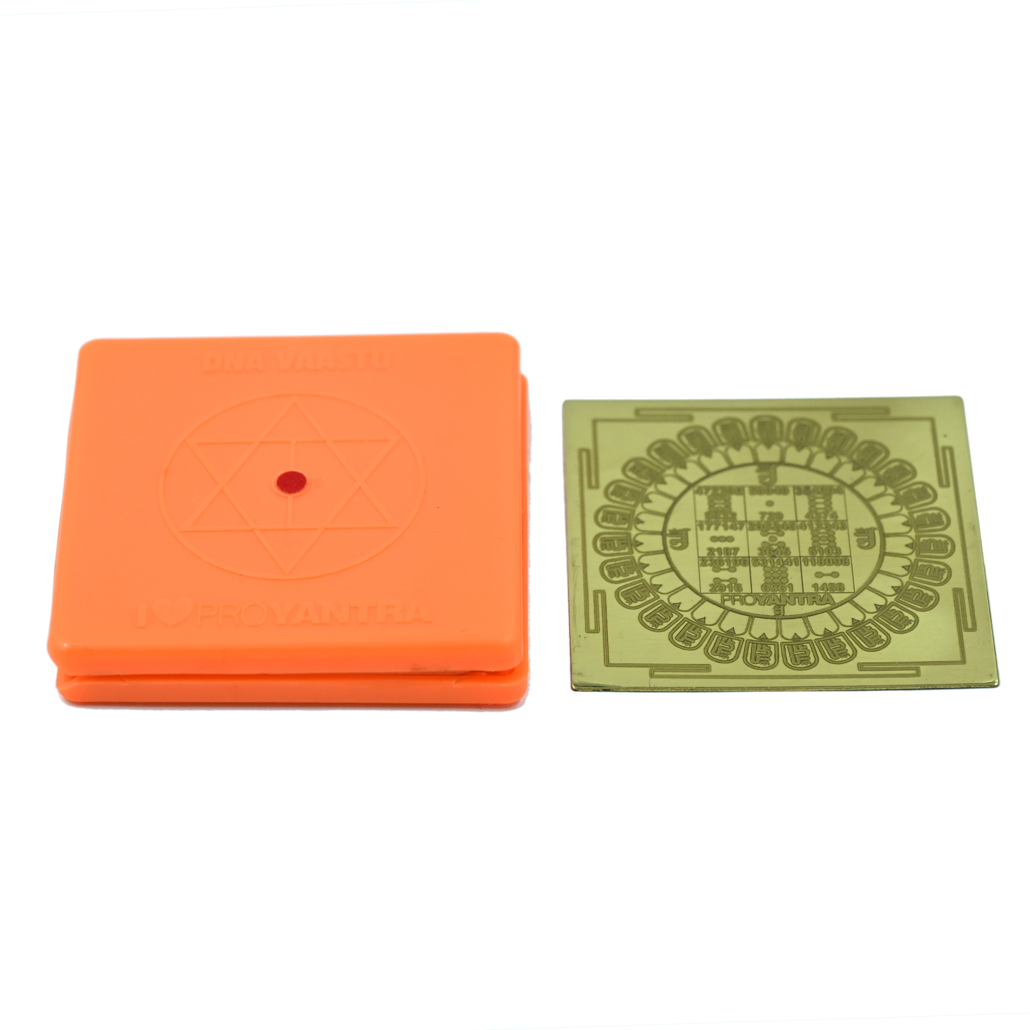 FaMa Passport Basic Plastic (Pack of 6)